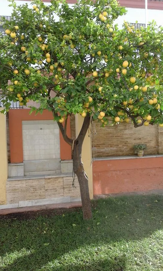 Lemon Garden Hostel Sevilla 0*,