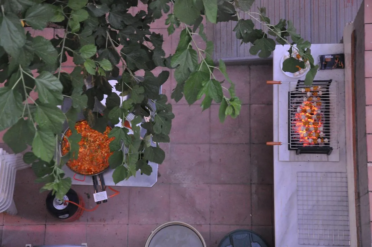 Lemon Garden Hostel Sevilla